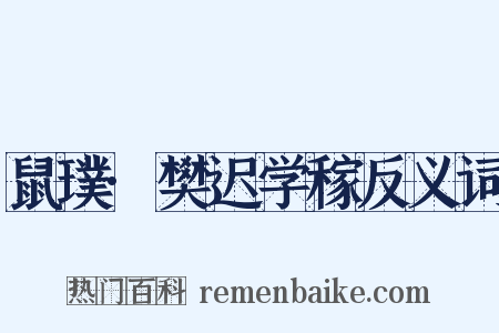 鼠璞·樊迟学稼反义词是什么意思的图片